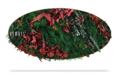 Een ovale wanddecoratie van BE MOSS, oftewel BEMOSS mosschilderij, met een levendig, weelderig arrangement van groen blad en rode bladeren. Het groen vormt een dicht, gestructureerd oppervlak met een organische, natuurlijke uitstraling. Aan de linkerkant is het BE MOSS-logo zichtbaar.