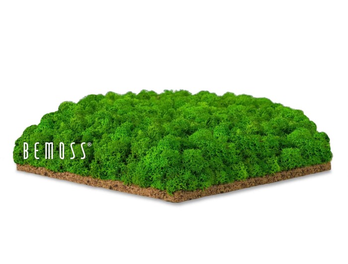 Een vierkant stuk weelderig, groen geconserveerd mos op een bruine ondergrond van het merk BEMOSS. Deze levendige, gestructureerde Kamerschermen van mos FLATMOSS&BOLMOSS - dubbelzijdig creëert de uitstraling van een miniatuurbos of groen landschap en voegt een vleugje natuur toe aan elke kamer.