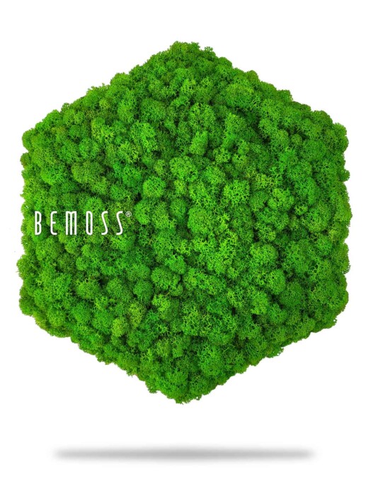 Een zeshoekig Kamerschermen van mos FLATMOSS&BOLMOSS - dubbelzijdig met levendige groene kleur wordt weergegeven op een witte achtergrond. Het paneel lijkt te zweven met een subtiele schaduw eronder. Op de linkerkant van het paneel staat het woord 