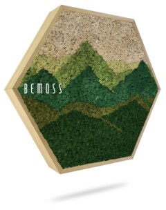 Zeshoekig houten frame met daarin kunstmatig mos, zo gerangschikt dat het lijkt op een berglandschap, met groene en beige tinten. Het woord "BEMOSS" is linksboven op het moswand-ontwerp gedrukt. Het frame werpt een subtiele schaduw, waardoor een zwevend effect ontstaat.