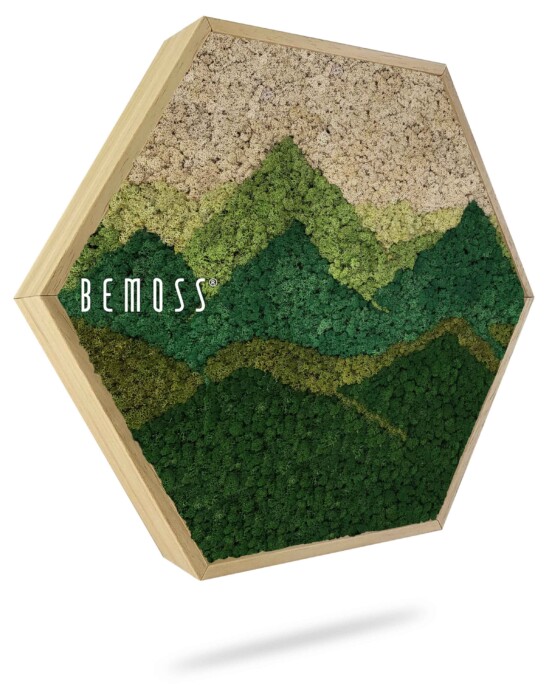 Zeshoekig houten frame met daarin kunstmatig mos, zo gerangschikt dat het lijkt op een berglandschap, met groene en beige tinten. Het woord 