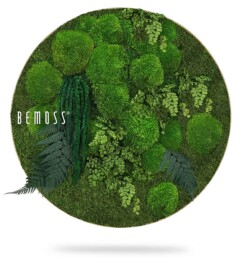 Een ronde wanddecoratie met een verscheidenheid aan weelderige groene mossen en varens, gerangschikt in een visueel aantrekkelijk patroon. Het BEMOSS®-logo wordt weergegeven aan de linkerkant van het stuk. Het natuurlijke en levendige ontwerp van deze BEMOSS-mosschilderij creëert een rustgevende, op de natuur geïnspireerde esthetiek.