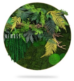 Een cirkelvormig kunstwerk aan de muur, bekend als een 'BEMOSS moswand', heeft een mix van groen blad, waaronder varens en verschillende bladeren. De achtergrond is gemaakt van weelderig, levendig mos. Het ontwerp is natuurlijk en levendig, met het woord "BEMOSS" op de linkerkant geschreven.