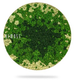 Rond kunstwerk met een structuurpatroon van groen en beige mos, gerangschikt in een abstract ontwerp. Het woord "BEMOSS" staat op de linkerkant van de cirkel gedrukt. De algehele uitstraling is natuurlijk en organisch en doet denken aan de schoonheid van een moschilderij.