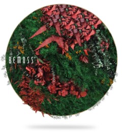 Een grote ronde BEMOSS-mosschilderij heeft een weelderig, levendig arrangement van geconserveerd groen mos, rode bladeren en verschillende soorten blad. Het ontwerp heeft een mix van texturen en kleuren, waardoor een opvallende en natuurlijke esthetiek ontstaat. Aan de linkerkant is het logo "BEMOSS" zichtbaar.