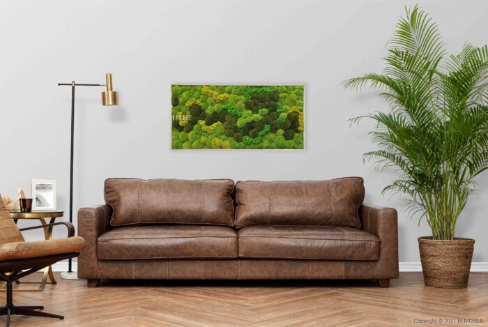 Een woonkamer met een bruinleren bank tegen een lichtgrijze muur. Boven de bank hangt een ingelijste foto van Mosschilderij BOLMOSS DUO Light Anento. Links staat een goudkleurige vloerlamp en een tafeltje. Rechts staat een groene potplant. Links staat een houten stoel.