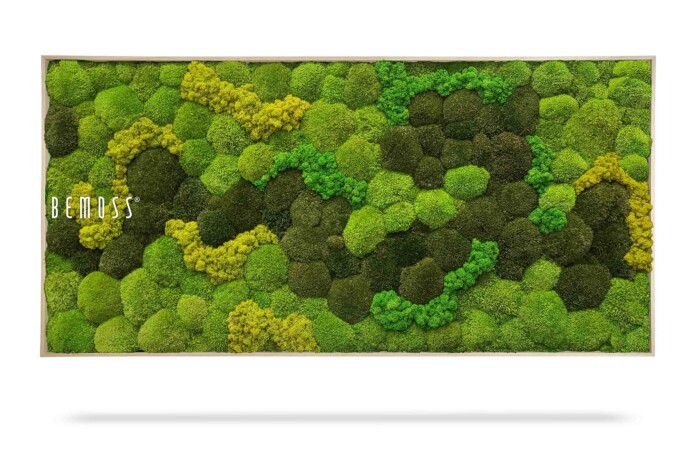 Een rechthoekig houten frame met daarin een assortiment geconserveerd mos in verschillende tinten groen en geel, gerangschikt in een gestructureerd, vlekkerig patroon. Aan de linkerkant van het frame staat het woord 