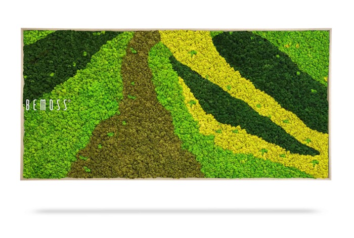 Een ingelijst kunstwerk aan de muur met een abstract ontwerp gemaakt van groen, geel en bruin mos. Aan de linkerkant van het frame staat het woord “Mosschilderij BEMOSS® ORTHO CARROT”. Het ontwerp lijkt op een natuurlijk landschap met verschillende tinten vegetatie.