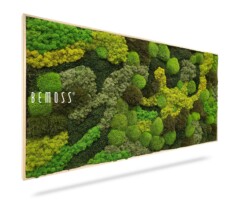 Een rechthoekig kunstwerk aan de muur met een verscheidenheid aan groene mossen in verschillende texturen en tinten. Het arrangement bestaat uit een mix van donkergroene, lichtgroene en geelgroene mossen. Op de linkerkant van het stuk is het woord "Mosschilderij BEMOSS® ORTHO TELDE" zichtbaar.