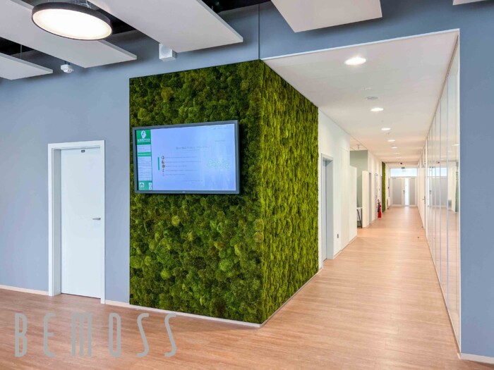 Click to view project – Schaeffler Group
