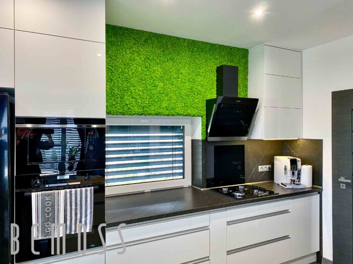 Click to view project – Green in kitchen