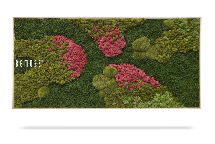 Een kunstwerk aan de muur met een rechthoekig frame gevuld met groen en roze mos, gerangschikt in organische patronen. Op de linkerkant van het frame staat in witte letters het woord 