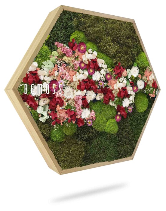 De Moshexagon PLANTEN Acebo (Kópia) is een hexagonaal bloemstuk met een houten frame, met groen mos, witte bloemen, rode bloemen en een verscheidenheid aan ander groen blad. De tekst 