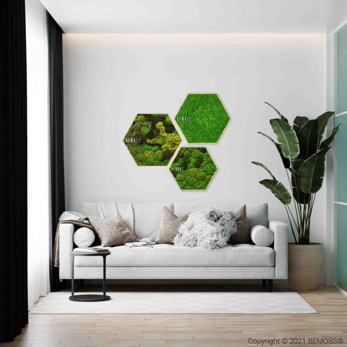Een stijlvolle woonkamer met een witte bank met meerdere kussens, een zwarte bijzettafel en een grote groene plant. Drie zeshoekige wandkunstwerken met groen mos hangen boven de bank. Natuurlijk licht filtert door een raam met witte gordijnen.