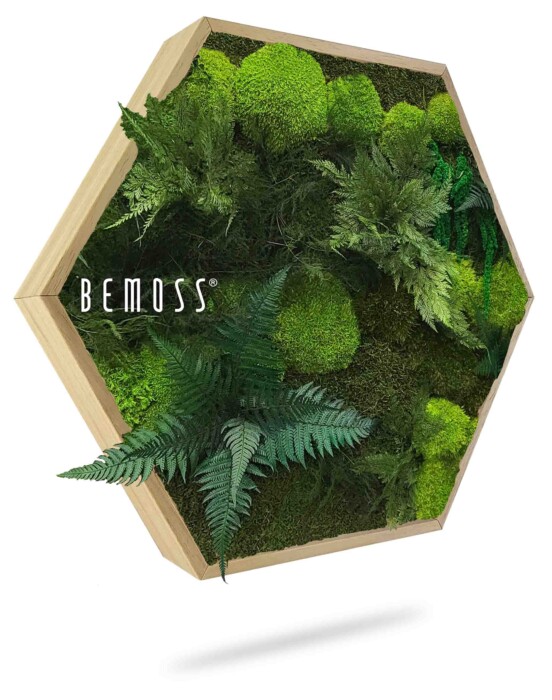 Zeshoekig houten frame met een verscheidenheid aan groene kunstmatige mossen en planten, die lijken op een verticale tuin. Het woord 