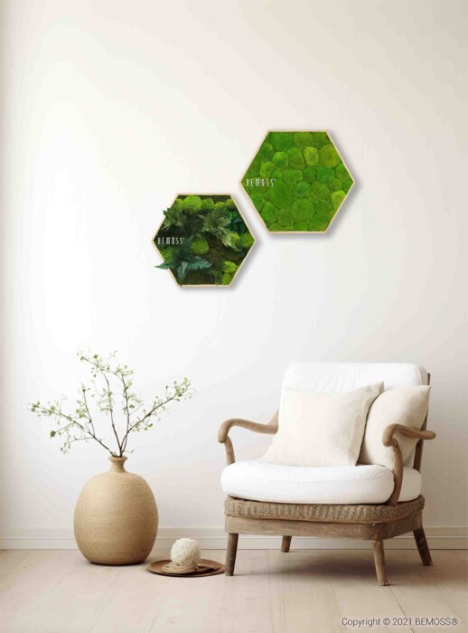 Een minimalistische kamer met een lichte houten stoel met witte kussens. Een grote ronde vaas met een kleine bladplant staat ernaast op de grond. Twee zeshoekige groene moskunstwerken zijn op de crèmekleurige muur boven de stoel gemonteerd.