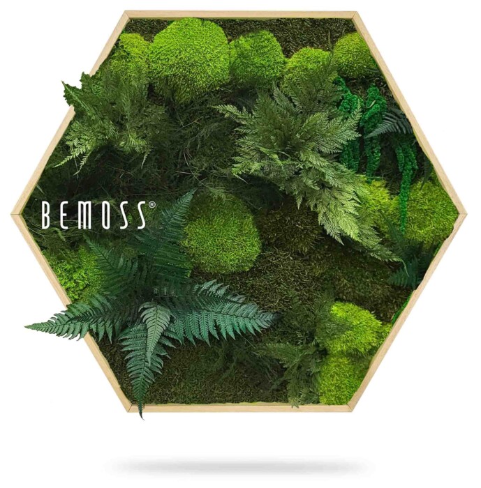 Een ingelijste zeshoekige wanddecoratie met een verscheidenheid aan groen mos en varens. Het frame heeft een houten rand en het gebladerte creëert een dichte, gestructureerde look. Het woord 