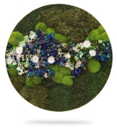 Een ronde wanddecoratie met een verscheidenheid aan geconserveerde bloemen en groen in een cirkelvormig patroon. Het midden heeft blauwe en witte bloemen tussen groen mos. Het woord "BEMOSS" is zichtbaar aan de linkerkant. De achtergrond is wit.
