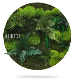 Een cirkelvormige wanddecoratie met het woord "BEMOSS" bevat groen geconserveerd mos en verschillende groene varens. De opstelling creëert een weelderige, natuurlijke look met verschillende texturen en tinten groen. De achtergrond is wit.