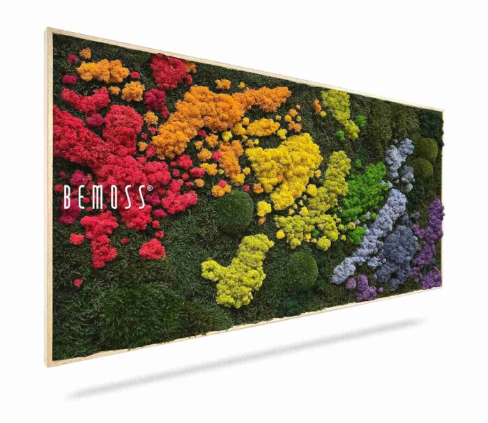 Mosschilderij BEMOSS® ORTHO IRIS is een rechthoekig wandkunstwerk met geconserveerd mos en planten in een kleurverloop van rood, oranje, geel, groen en paars op een donkergroene achtergrond. Aan de linkerkant staat 