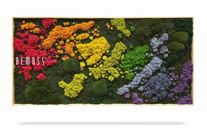 Het Mosschilderij BEMOSS® ORTHO IRIS is een rechthoekige houten lijst met geconserveerd mos en bloemen in een rood-paarse kleurovergang, met aan de linkerzijde in witte tekst 