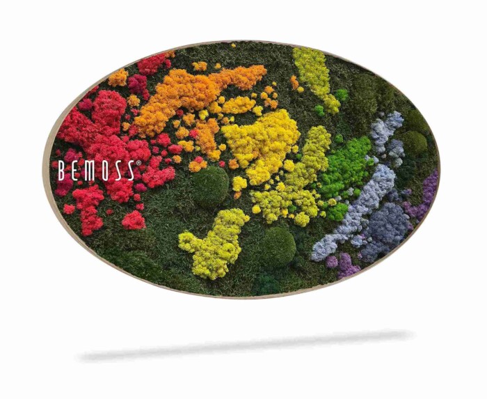 De Mosschilderij cirkel BEMOSS® ORTHO IRIS heeft geconserveerd mos in rode, oranje, gele, groene en paarse trossen binnen een ovaal frame. 
