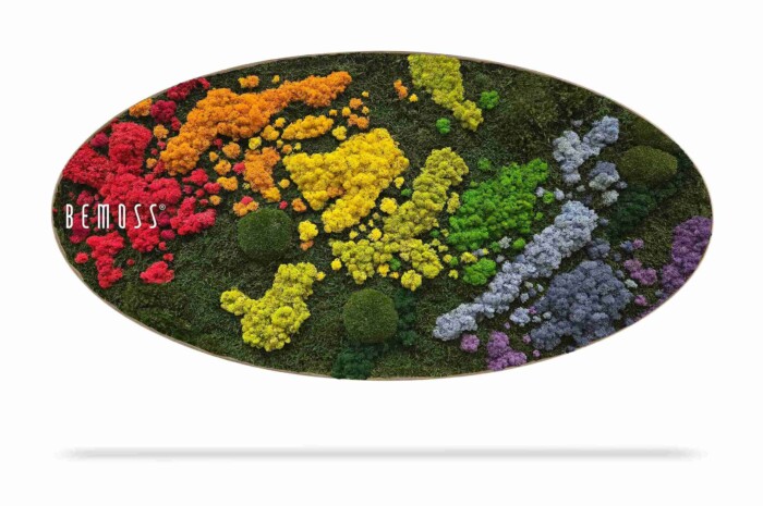 De Mosschilderij cirkel BEMOSS® ORTHO IRIS heeft een ovaal wandschilderij met geconserveerde mosclusters in een rood-paars kleurverloop en het woord 