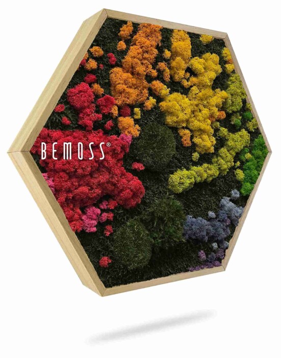 Mosschilderij cirkel BEMOSS® ORTHO IRIS: ronde houten lijst met geconserveerd mos in rode, oranje, gele, groene en paarse trossen op een donkere achtergrond. 