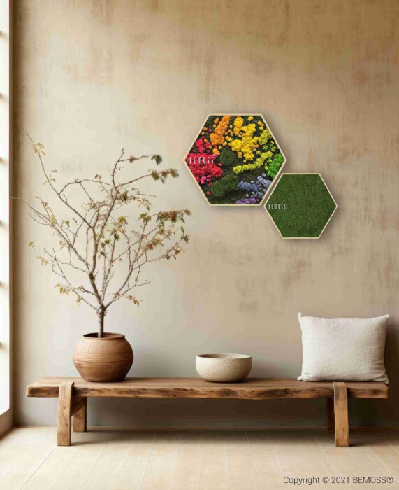 Een minimalistische kamer is voorzien van een houten bank, een potplant, een kussen en de Mosschilderij cirkel BEMOSS® ORTHO IRIS wandkunst - drie zeshoekige stukken met kleurrijke bloemen, groen en effen groen - gemonteerd op een beige muur.