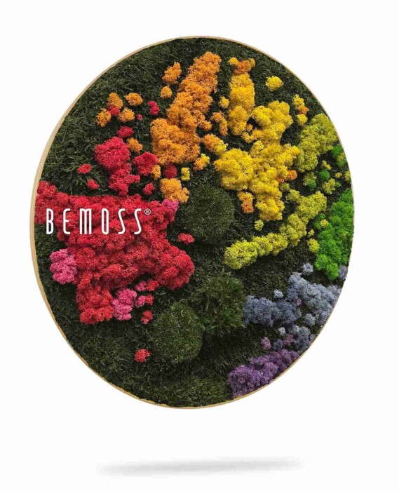 De Mosschilderij cirkel BOLMOSS DUO Natural Green (Kópia) is een rond wandkunstwerk met clusters van geconserveerd mos in groene gradiënten en 