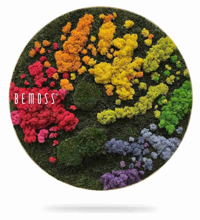De Mosschilderij cirkel BEMOSS® ORTHO IRIS toont geconserveerd mos in rode, roze, oranje, gele, groene, blauwe en paarse clusters op een donkergroene achtergrond met 